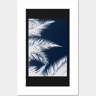 Palm Cyanotype #1 Posters and Art